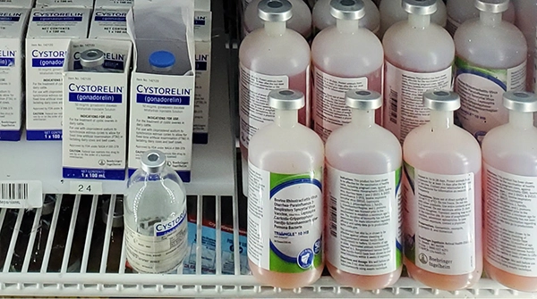 pharmaceuticals on a shelf